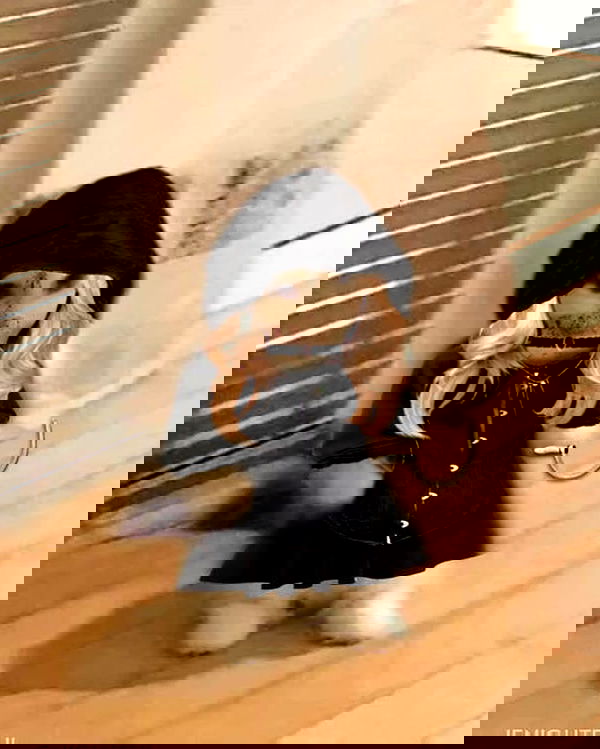 _tero._ image ~ Altpins