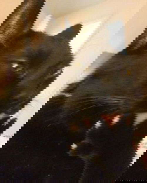 _tero._ instagram image archive image