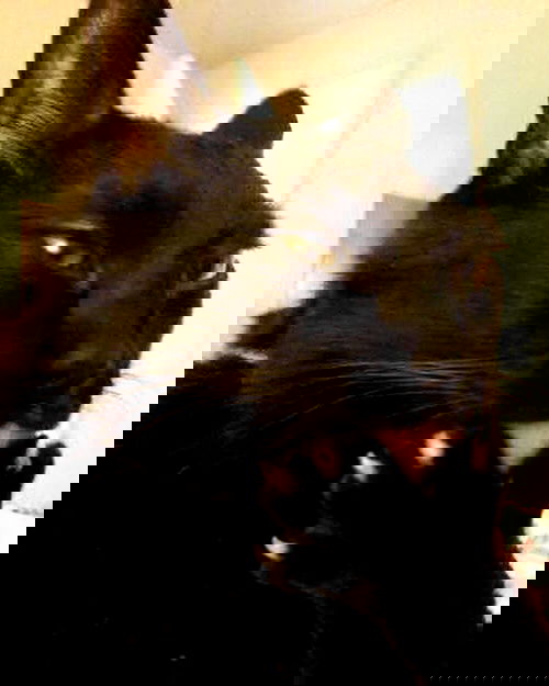 _tero._ image ~ Altpins