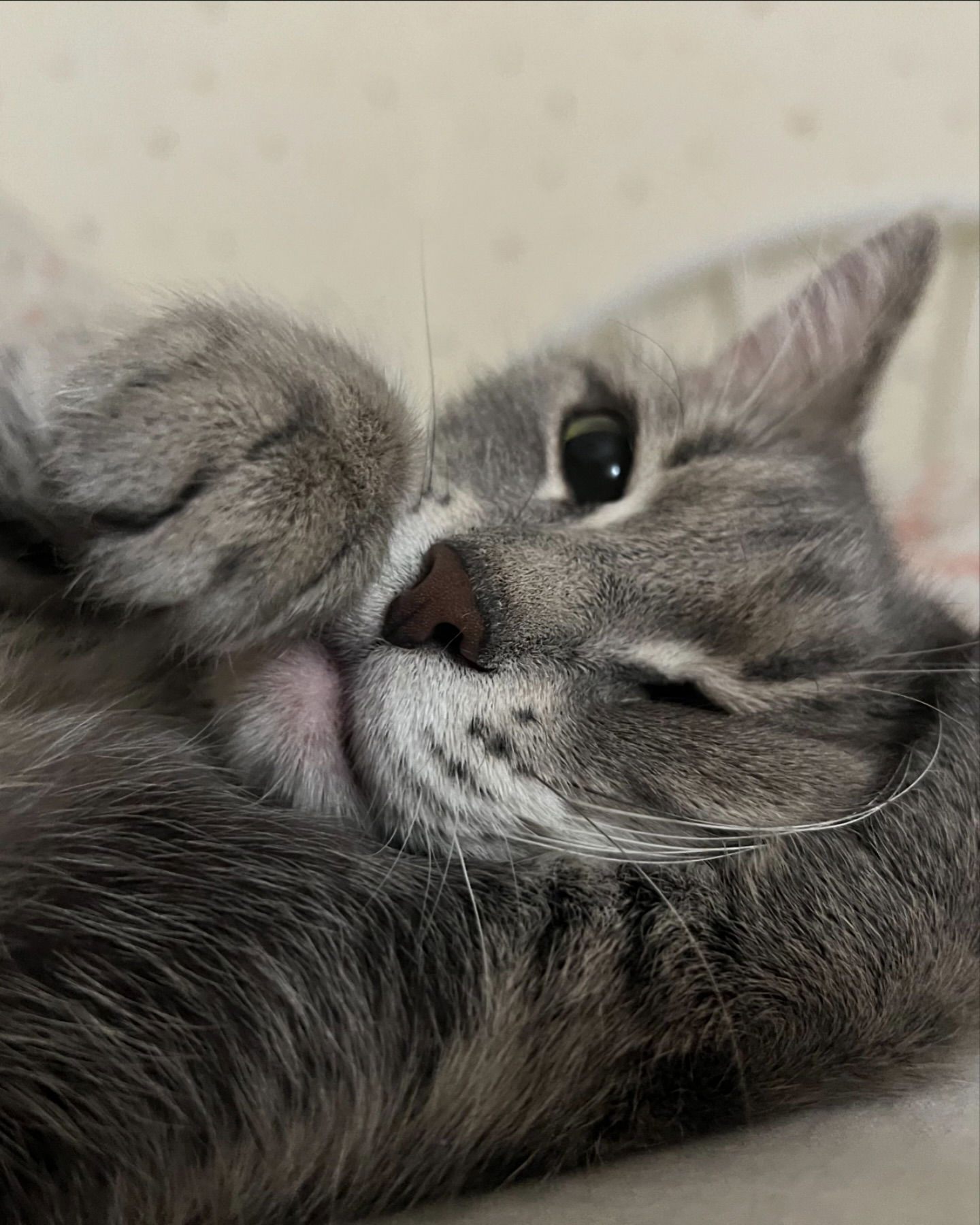 _tero._ instagram image archive image