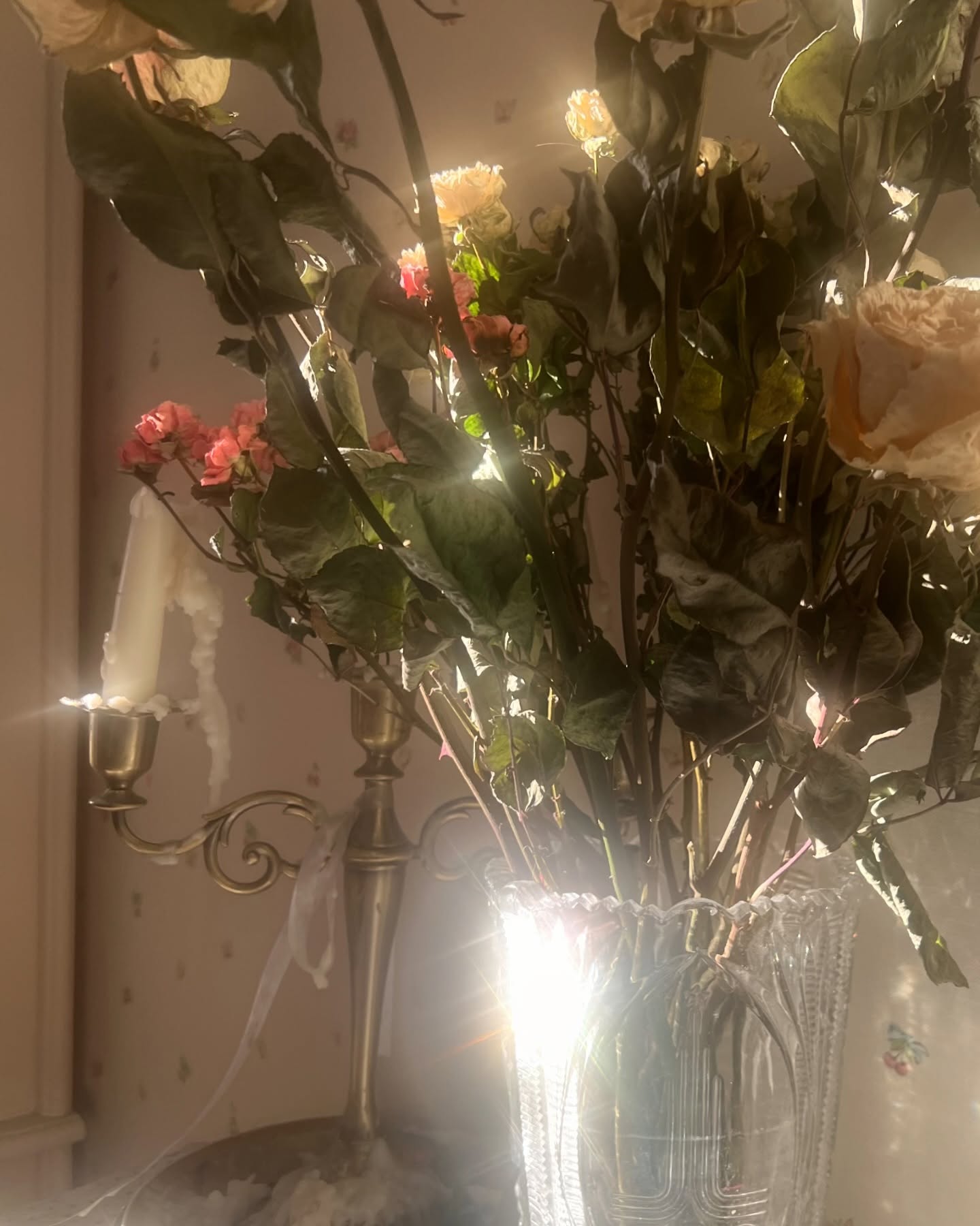 _tero._ instagram image archive image