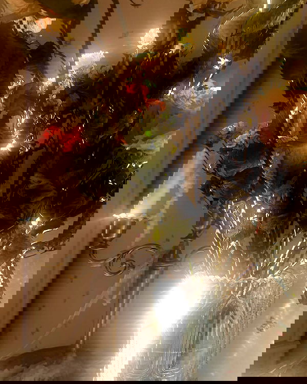 _tero._ image ~ Altpins