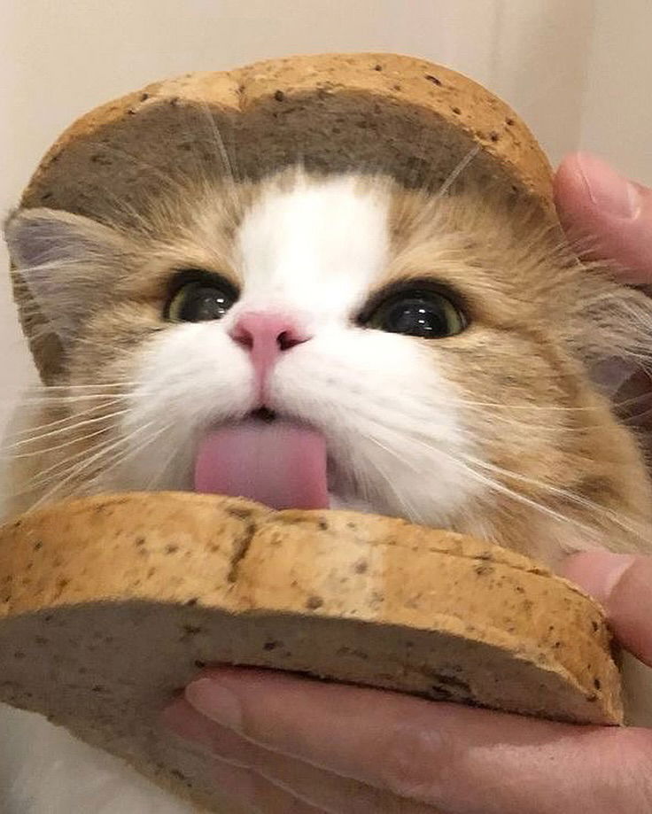 _tero._ instagram image archive image