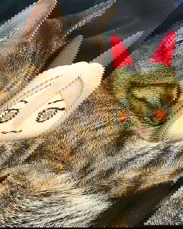 _tero._ image ~ Altpins