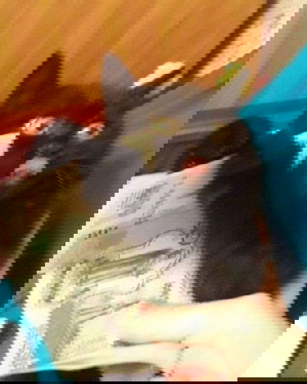 _tero._ instagram image archive image