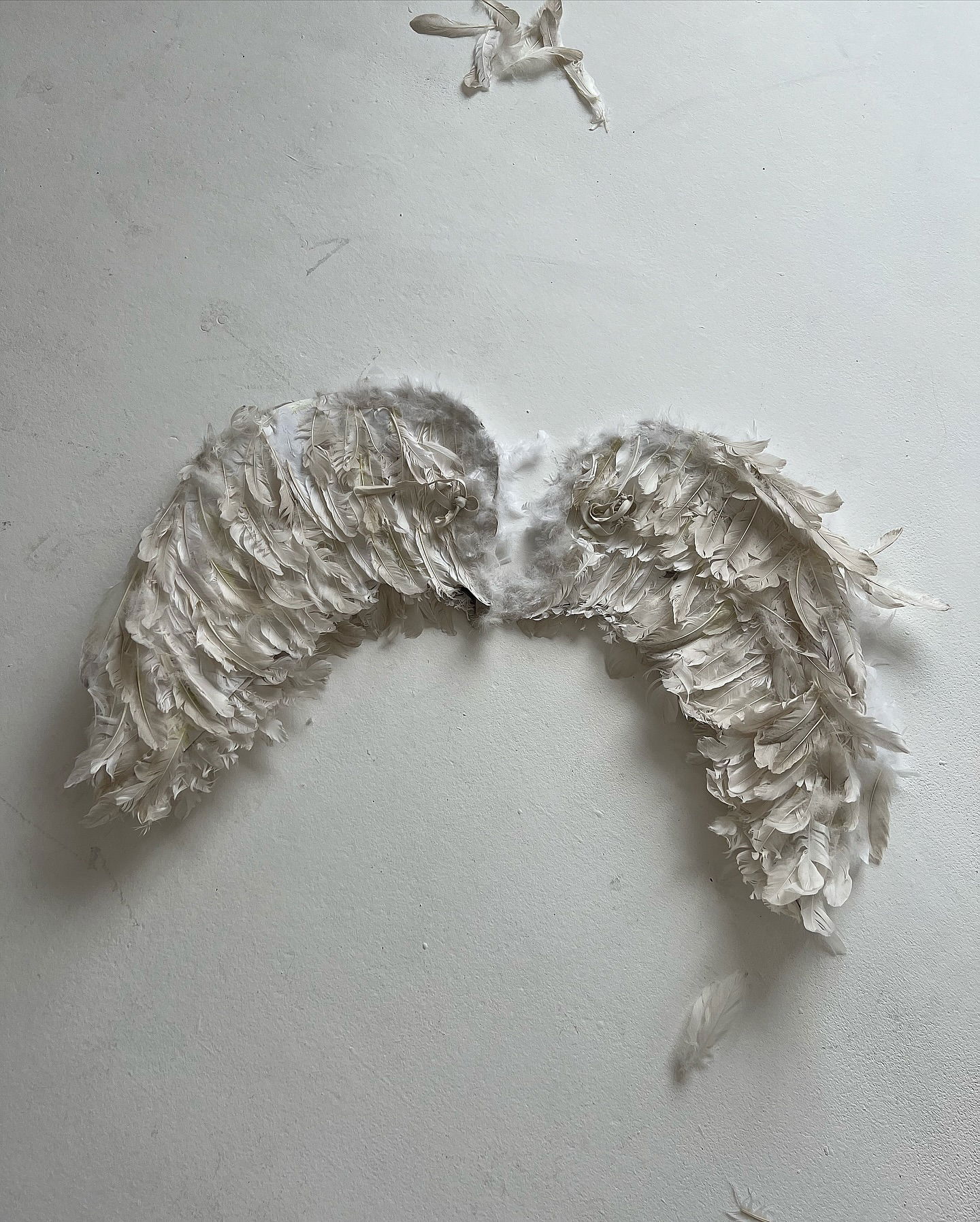 _tero._ instagram image archive image