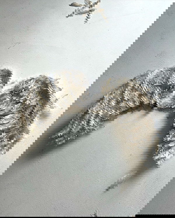 _tero._ image ~ Altpins