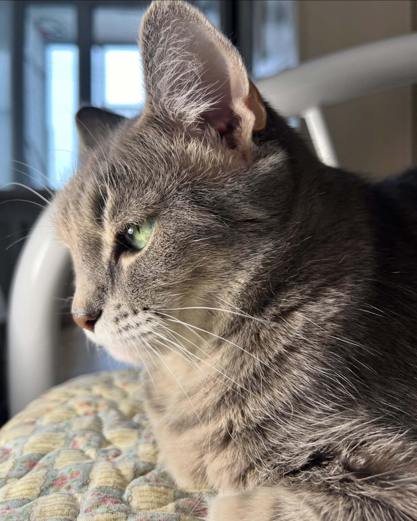 _tero._ instagram image archive image