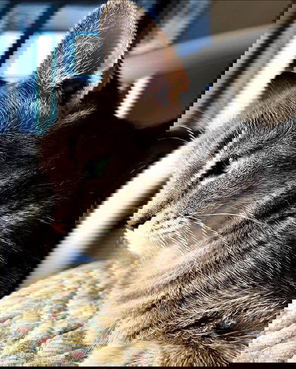 _tero._ image ~ Altpins