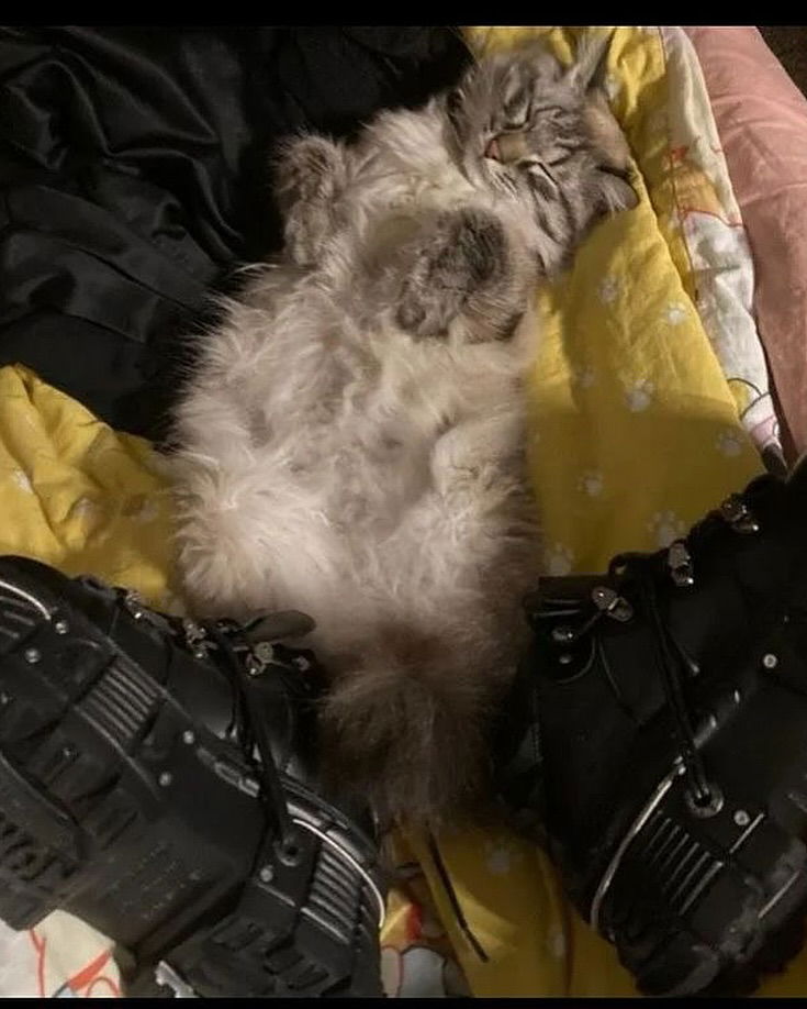 _tero._ instagram image archive image