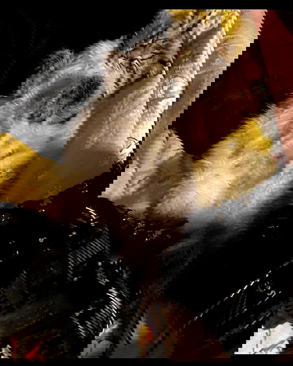 _tero._ image ~ Altpins