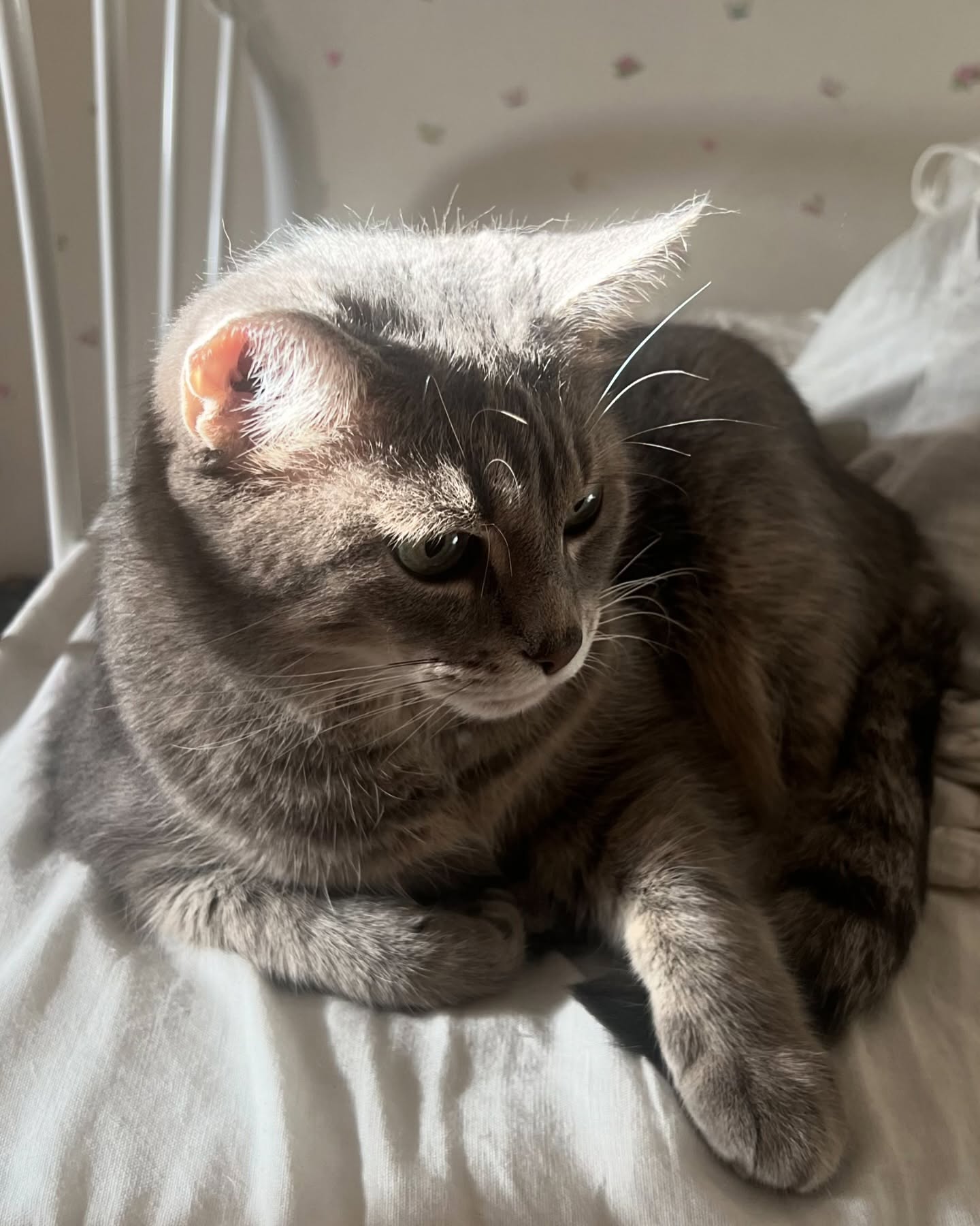 _tero._ instagram image archive image