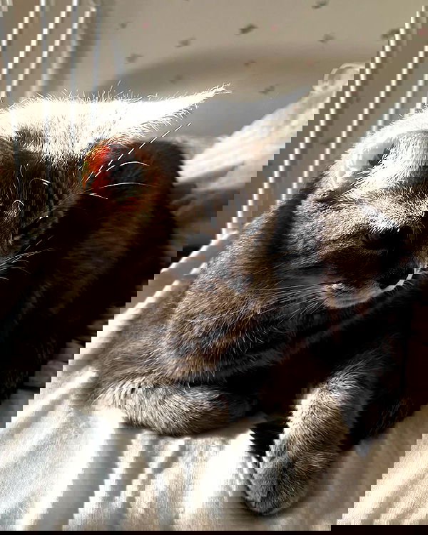 _tero._ image ~ Altpins