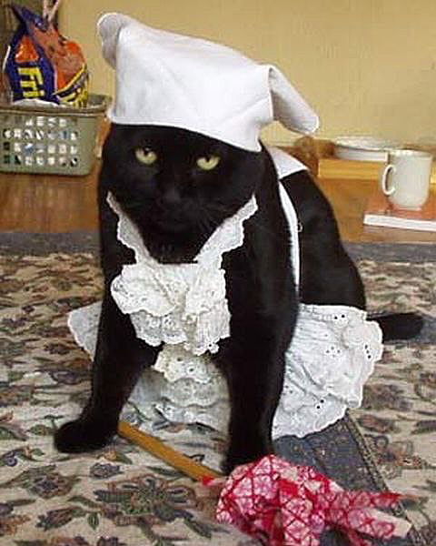 _tero._ instagram image archive image