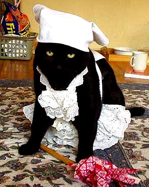 _tero._ image ~ Altpins