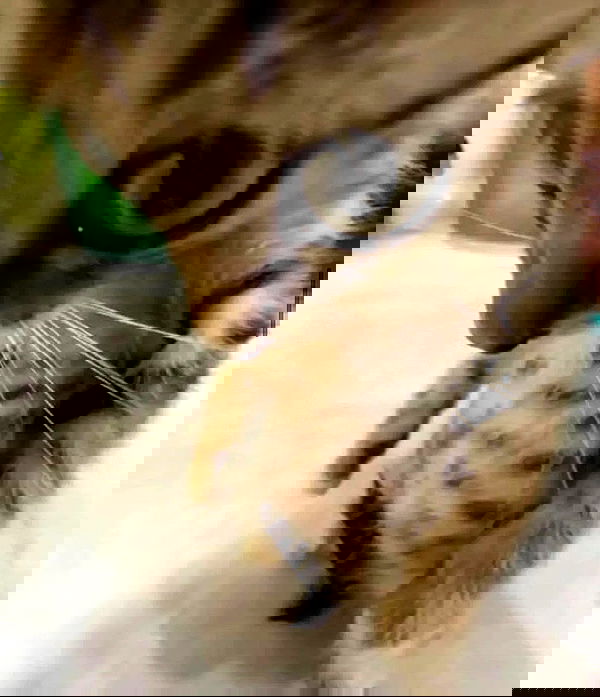 _tero._ image ~ Altpins