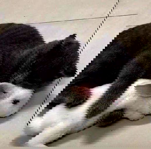 _tero._ image ~ Altpins