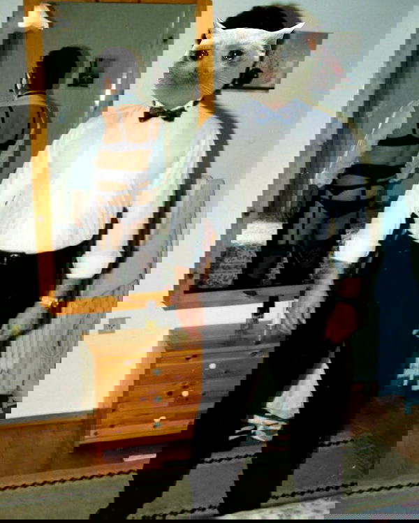 _tero._ image ~ Altpins