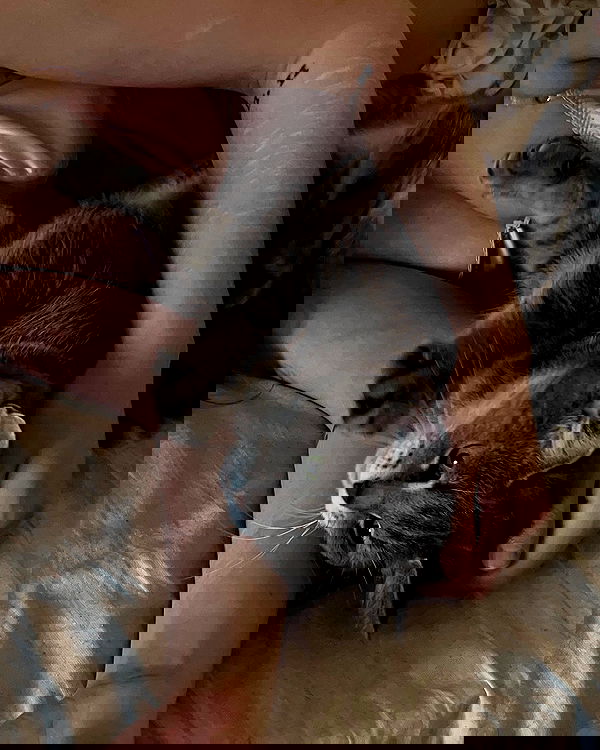 _tero._ image ~ Altpins