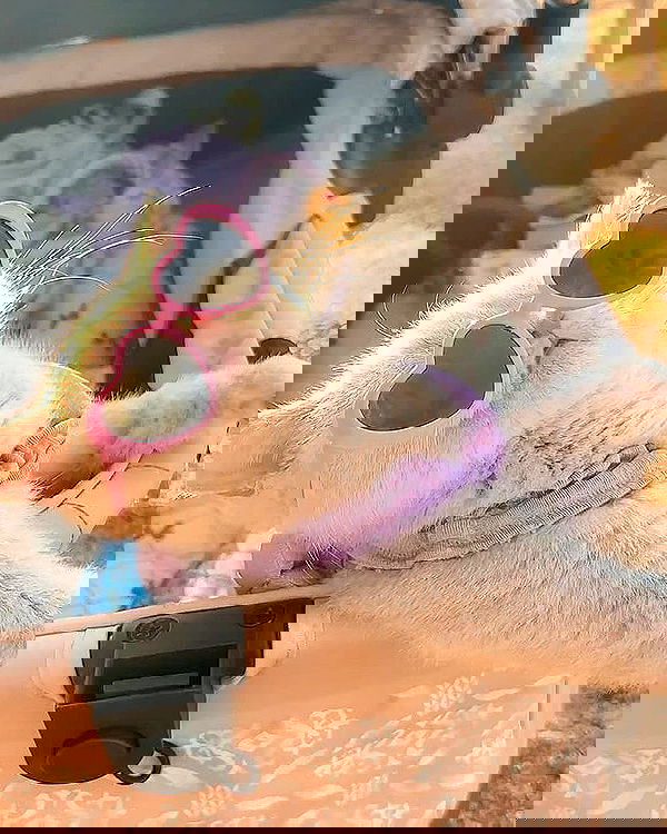 _tero._ image ~ Altpins