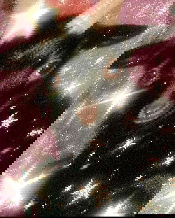 _tero._ image ~ Altpins