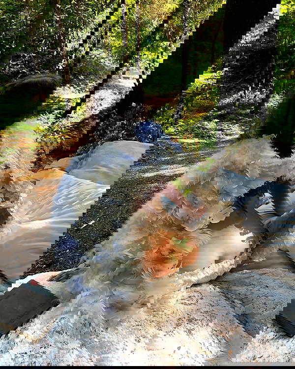 _tero._ image ~ Altpins