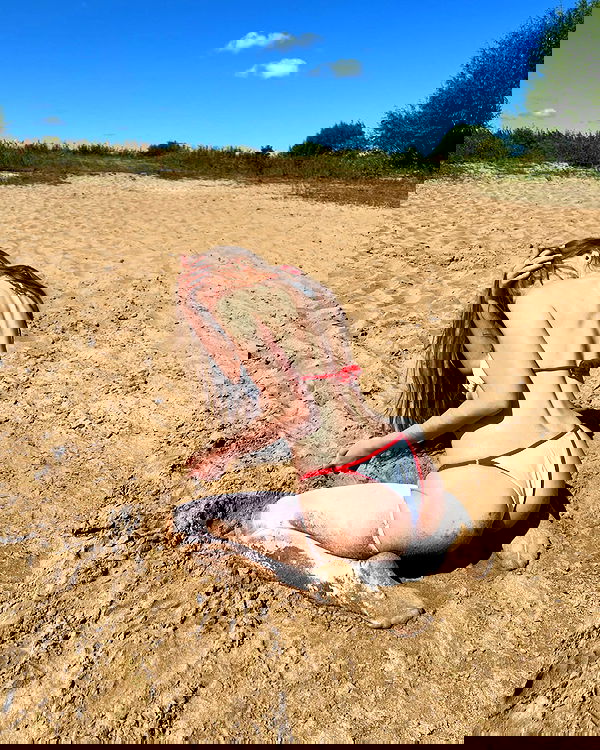 _tero._ image ~ Altpins