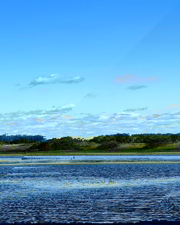 _tero._ image ~ Altpins