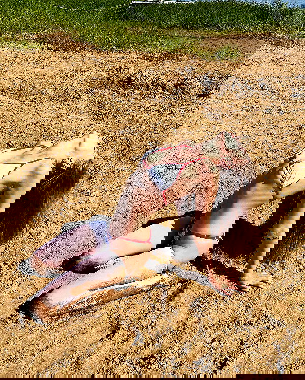 _tero._ image ~ Altpins