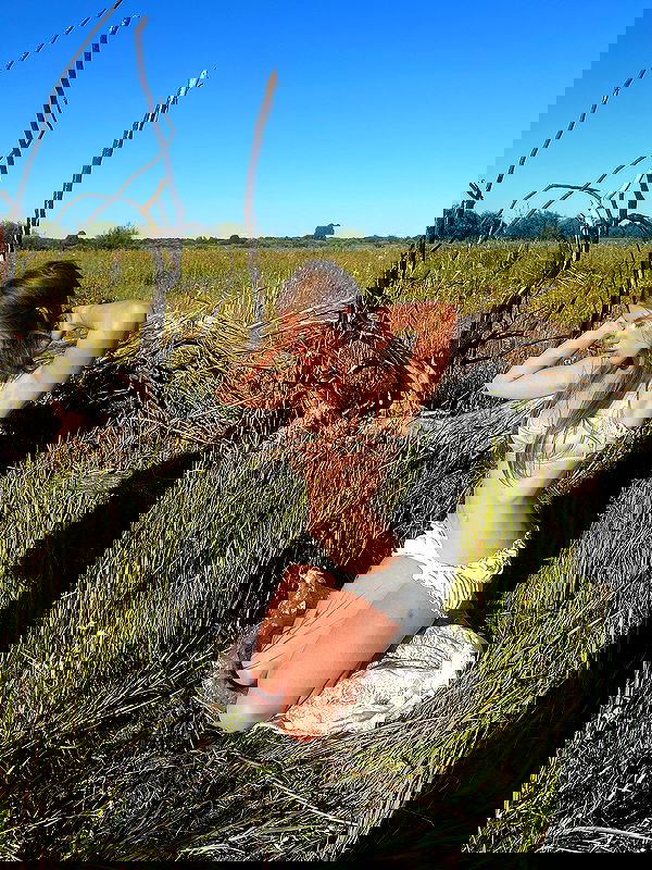 _tero._ image ~ Altpins