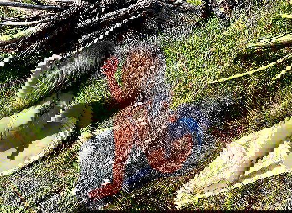 _tero._ image ~ Altpins