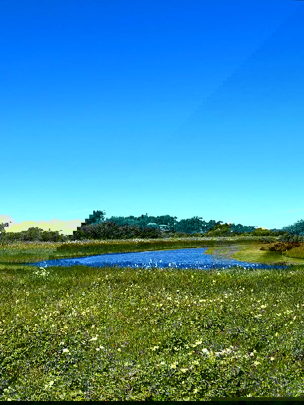 _tero._ image ~ Altpins