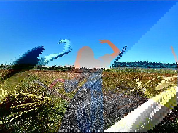 _tero._ image ~ Altpins