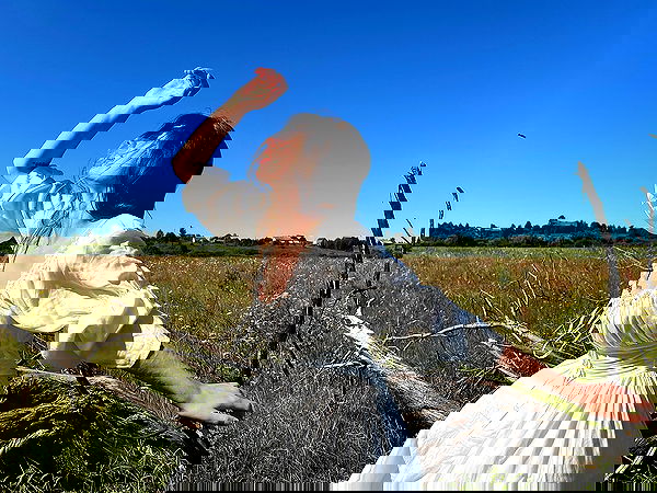 _tero._ image ~ Altpins