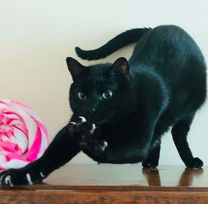 _tero._ instagram image archive image