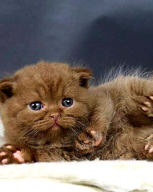 _tero._ image ~ Altpins