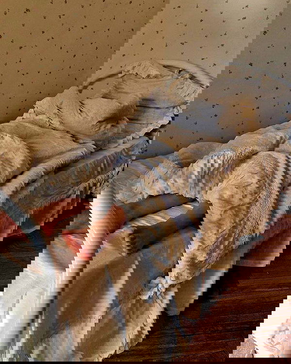 _tero._ image ~ Altpins