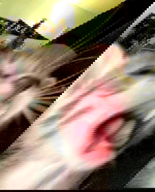 _tero._ image ~ Altpins