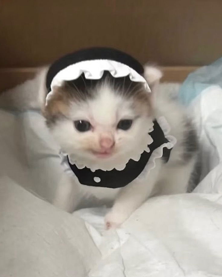 _tero._ instagram image archive image