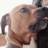 _wayw4rd_ Altpins Profile Picture