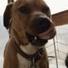 _wayw4rd_ Altpins Profile Picture
