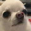 _wayw4rd_ Altpins Profile Picture