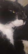 _wayw4rd_ Altpins Profile Picture