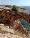 _wayw4rd_ Altpins Profile Picture