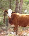 _wayw4rd_ Altpins Profile Picture