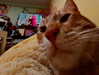 _wayw4rd_ Altpins Profile Picture