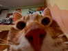 _wayw4rd_ Altpins Profile Picture