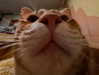_wayw4rd_ Altpins Profile Picture