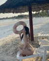 _wiyc.knz Altpins Profile Picture