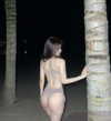 _wiyc.knz Altpins Profile Picture